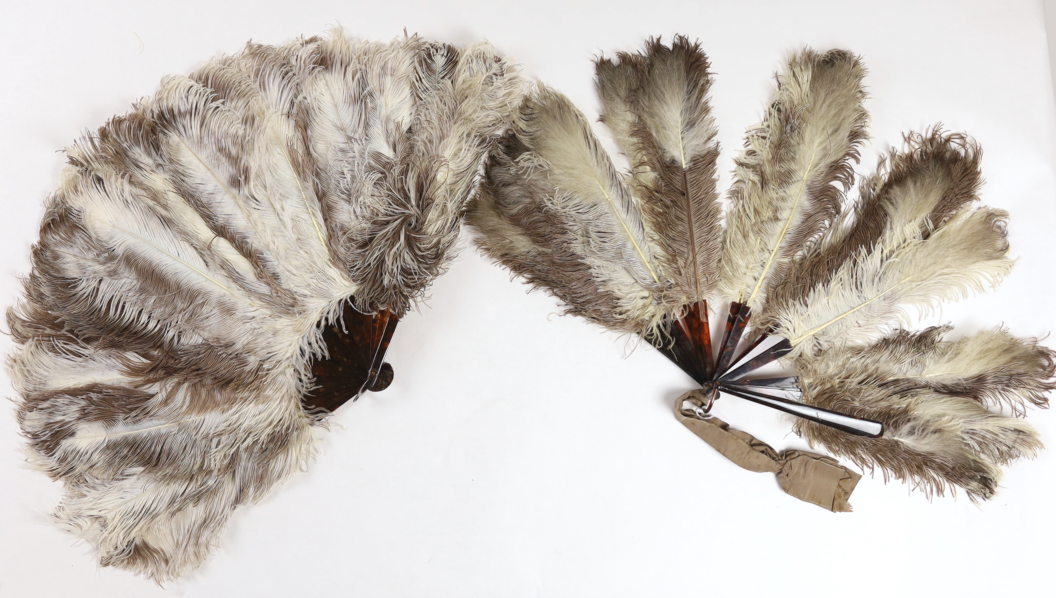 Two early 20th century brown and cream Ostrich feather fans, with tortoiseshell guards, one large fan, the other smaller